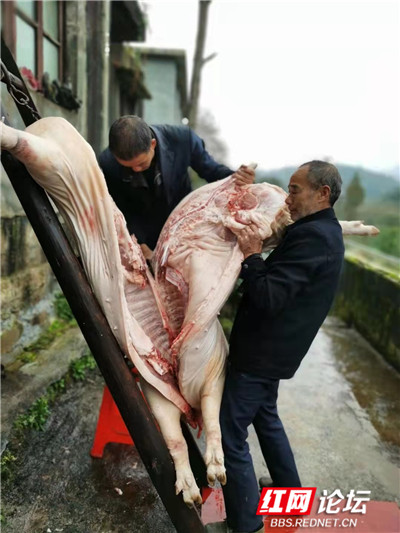 3_副本.jpg 3_副本.jpg