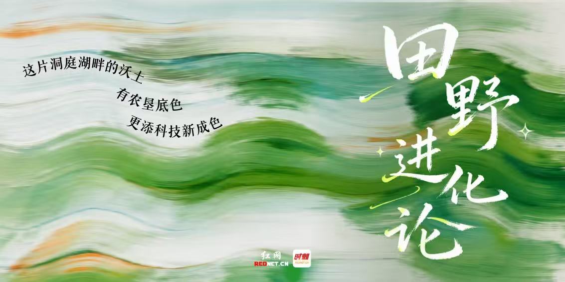 微信图片_20261013193250_1860_24.jpg