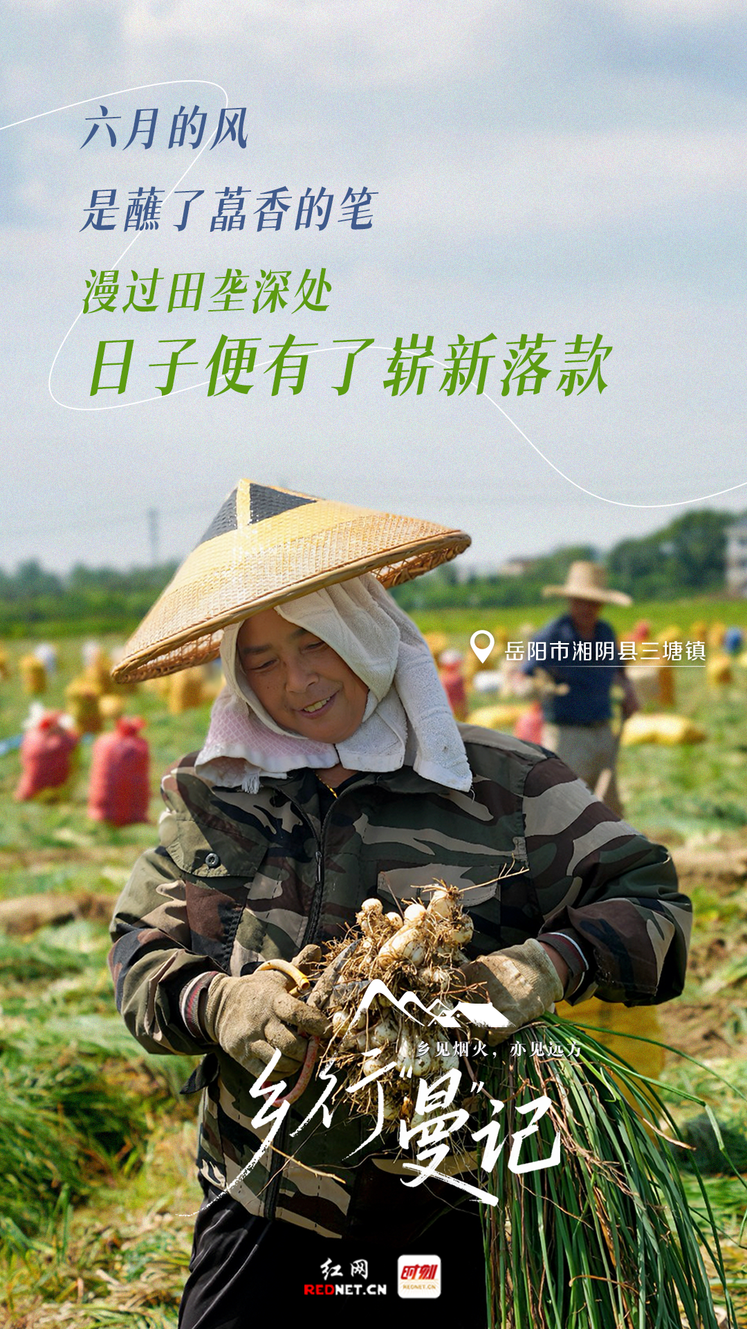 微信图片_20260626112033.png