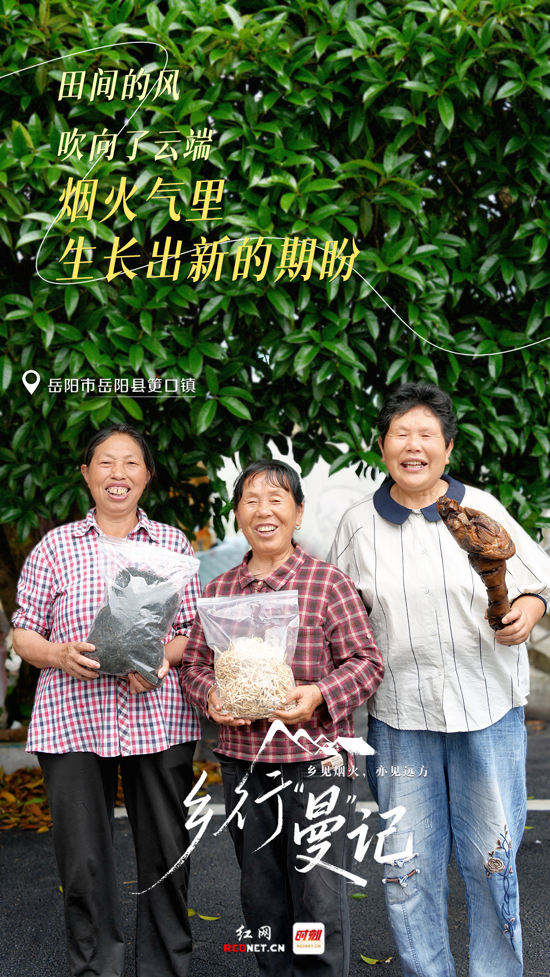 微信图片_20260608101843.png