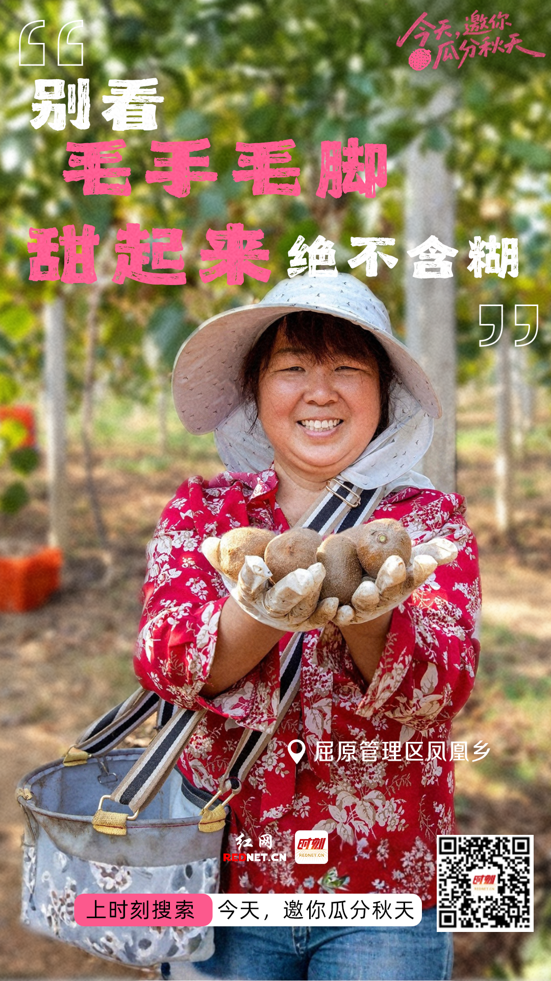微信图片_20260923101147_1495_24.png