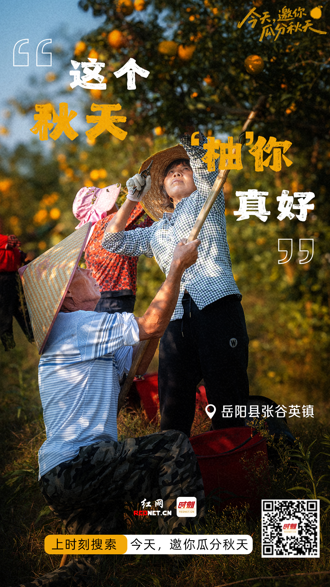 微信图片_20260923102338_1517_24.png
