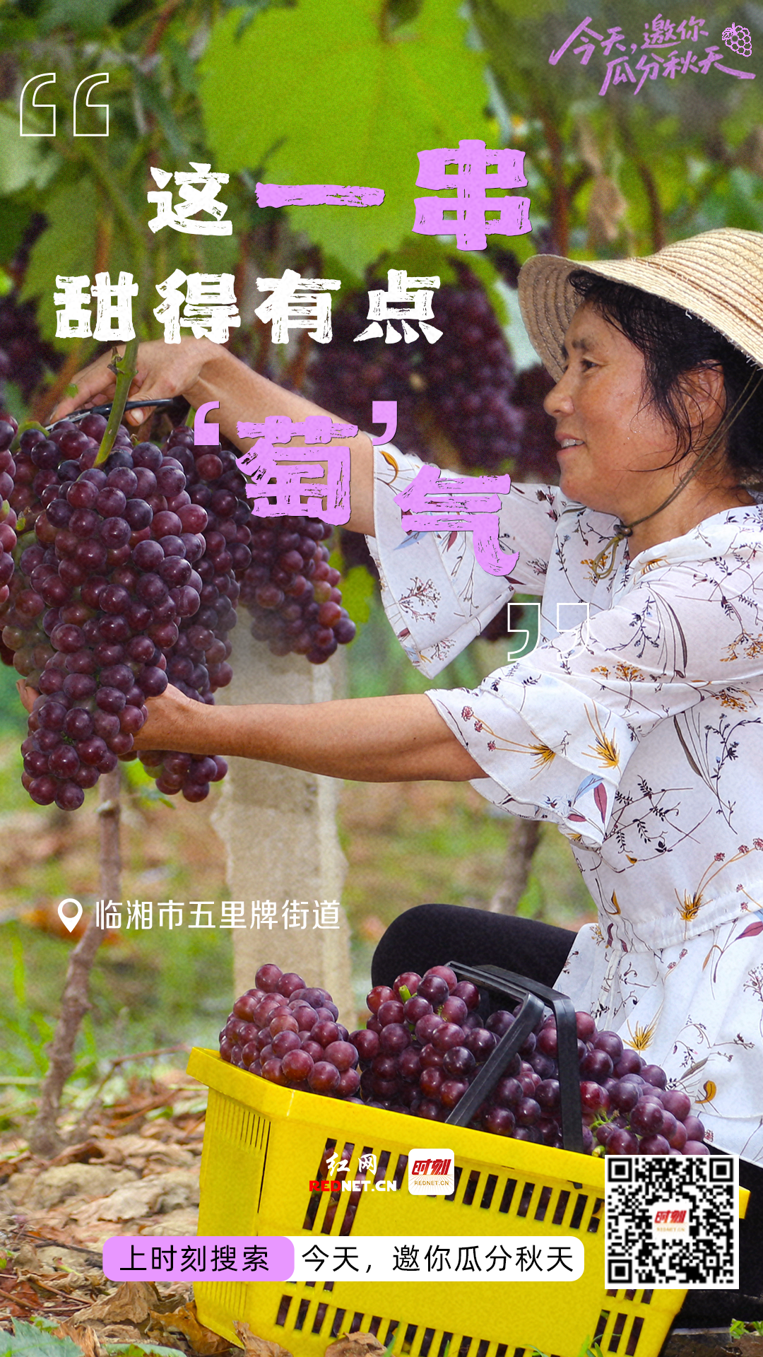 微信图片_20260923102339_1518_24.png