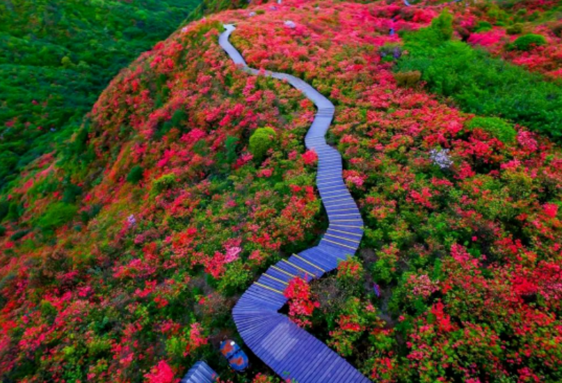 湖南这样“野”！