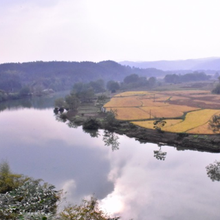 “两区两县”巡西河 山水田园助振兴