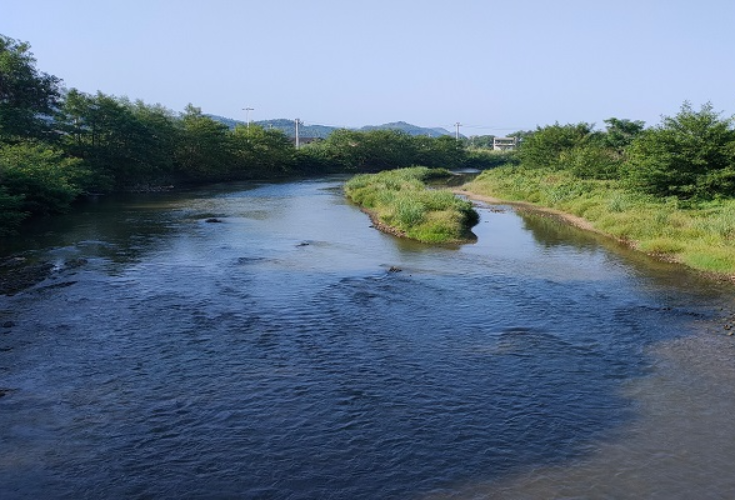 北湖区三合村：深化河长制，夯实美丽乡村基础