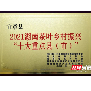 宜章县荣获2021湖南茶叶乡村振兴“十大重点县”