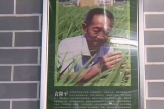 缅怀“杂交水稻之父”，安仁县市民自发组织哀悼祭奠