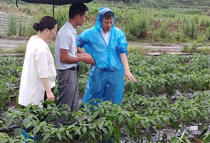 点滴实事润民心