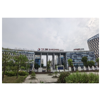 时小刻在现场 | 看郴州如何在“自贸时代”舞出精彩