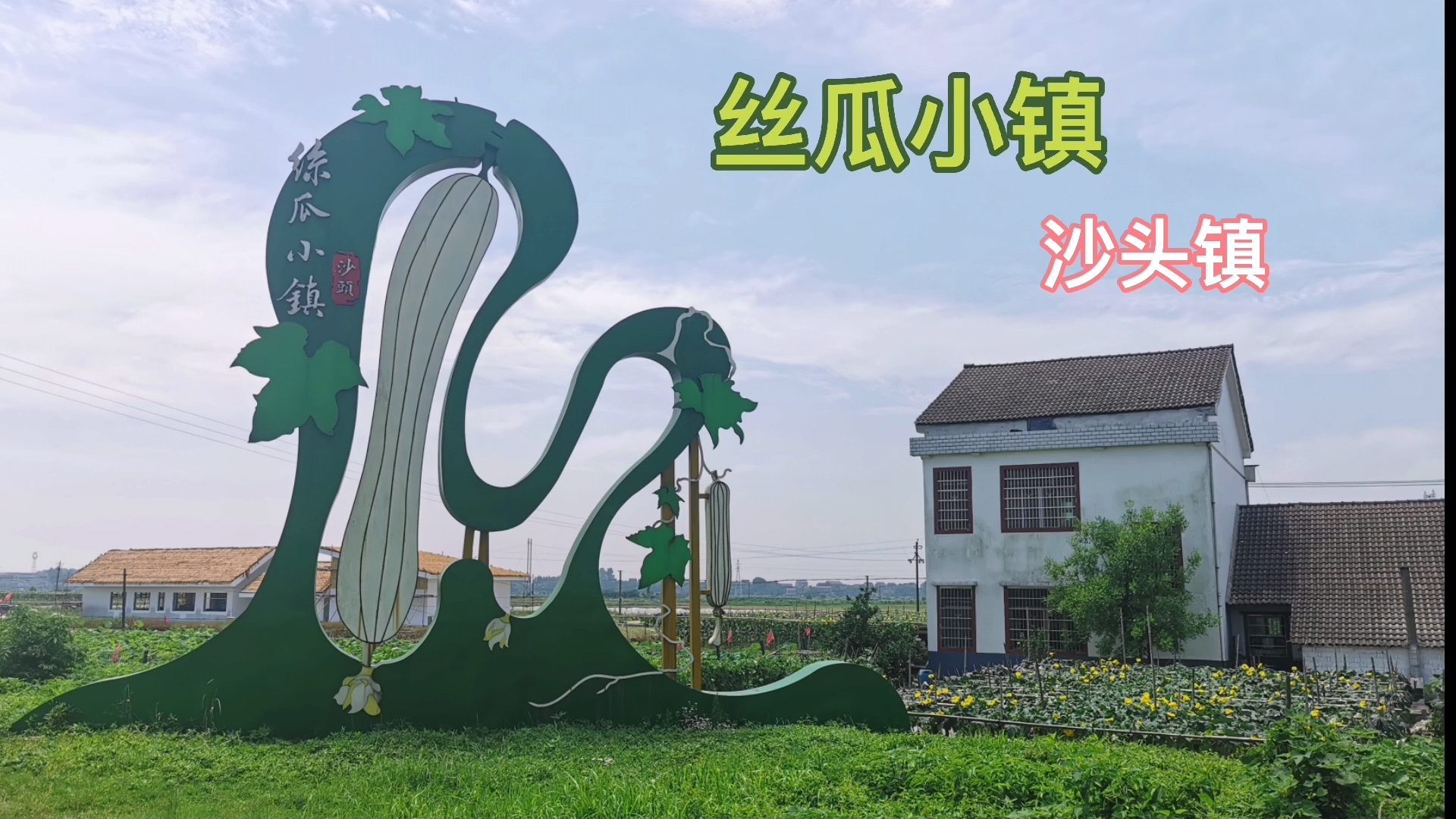 vlog益阳沙头镇吃在嘴里甜在心里小丝瓜擘画乡村振兴大蓝图