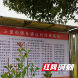 桃江：三堂街镇村规民约，“约”出最美乡村