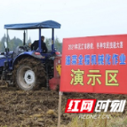 益阳沅江：农民选手聚一堂 拿出“绝活”展风采