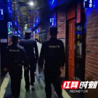 桃江县公安局：深入推进社会面治安问题大整治“百日攻坚”行动