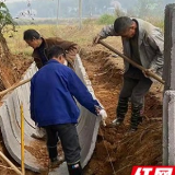办好农民“田间事” 赫山区高标准农田建设有序推进