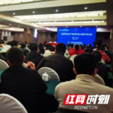 益阳市知识产权保护能力提升培训班成功举办