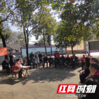 赫山区会龙山街道：四红五民聚民智 网格管理解民忧