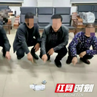 沅江公安：聚众赌博 5人当场被抓