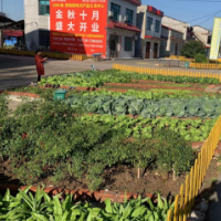 南县浪拔湖镇：人居环境惠民生 美丽乡村“换新颜”
