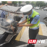 桃江县马迹塘镇：开展“三车一行人”专项整治行动