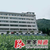 【黑茶文化节名优茶企展】千秋界茶业：弘扬国饮 矢志兴茶