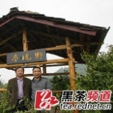 【黑茶文化节名优茶企展】湖南野境茶业：野生黑茶之典范