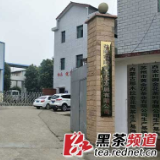 【黑茶文化节名优茶企展】益阳冠隆誉黑茶：科技进步 工艺创新