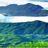 【黑茶文化节名优茶企展】湖南盛唐黑金黑茶饮公司：健康天然饮品