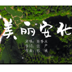 视频丨歌曲《美丽安化》致中国黑茶之乡，美丽神奇安化