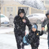 视频 |  益阳大通湖区：风雪中的“神兽们”