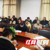 桃江全力推进安置方式转型