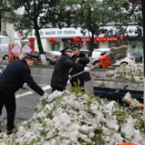 视频 | 大雪压断树枝阻挡城市道路 赫山城管迅速清理保畅通