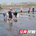 沅江交通： 驻村帮扶见成效 小芦菇撑起“致富伞”