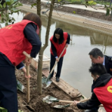 南县税务：党建带团建 植树护新绿