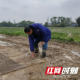 赫山区欧江岔镇：“平凡”庄稼汉 幸福不掉队