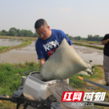 赫山泉交河镇：抢抓春耕好时节，干部带头做表率