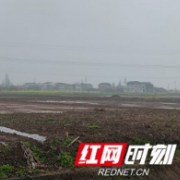 南县明山头镇：土地流转变良田 双季种植助增收