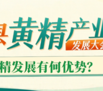 视频｜李艳云：坚持五大举措并行，促进黄精质量发展