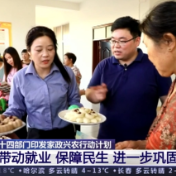 十四部门印发家政兴农行动计划 | 带动就业 保障民生 进一步巩固脱贫成果