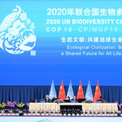 全球连线丨国际植物园保护联盟秘书长：期待昆明会议能确定“雄心勃勃”的保护生物多样性目标