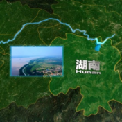我们的共同家园丨万类竞生 绿色湖南