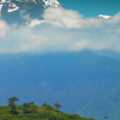 专访：要向中国学习生物多样性保护和可持续利用——访斯里兰卡真菌专家萨曼塔