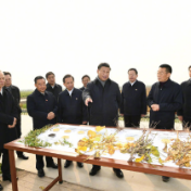 习近平继续在东营考察调研