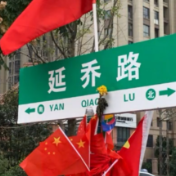 国庆期间延乔路又被鲜花包围了