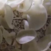 可爱的中国·金秋时节 收获满仓丨金秋丰收季收获正当时 老乡们享受丰收喜悦