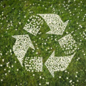 让“双碳”目标成为经济转型助推器