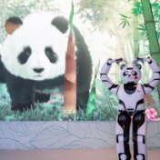 通讯：迪拜世博会中国馆见闻