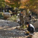 湖南：乡村图景美 入冬农事忙