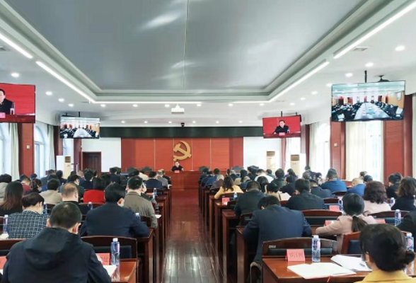 湖南省国资系统召开学习党的十九届六中全会精神视频会议