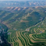 聆听西海固的振兴脉动